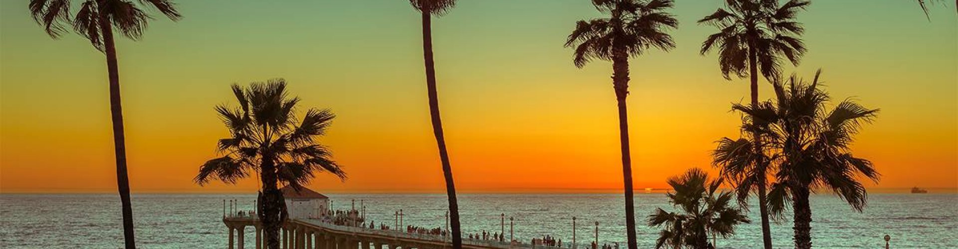 Los Angeles night skyline