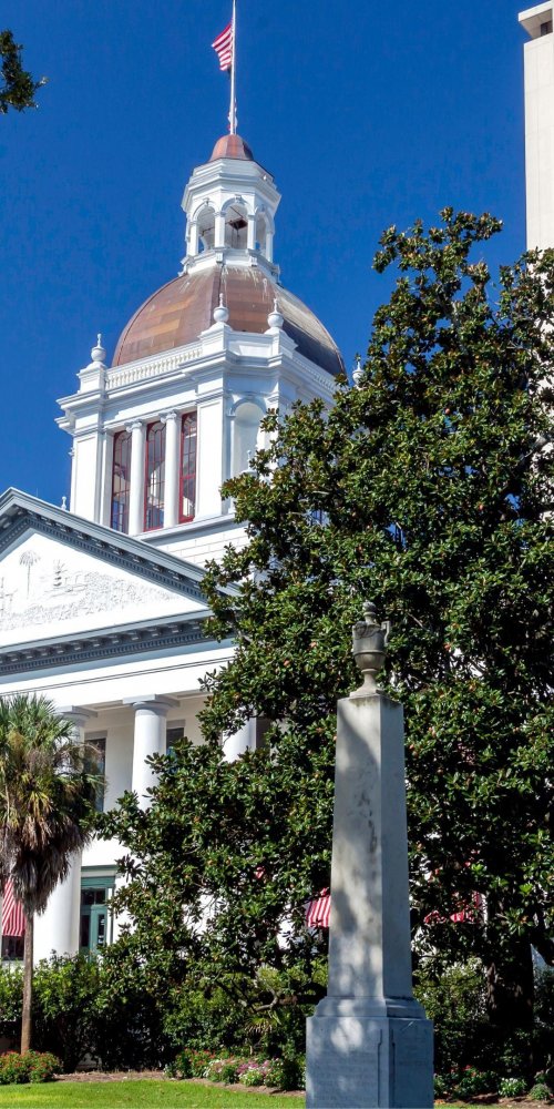 Driving in Tallahassee