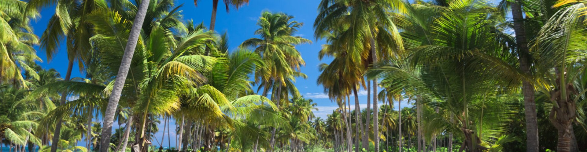 Night skyline Sosúa, DO