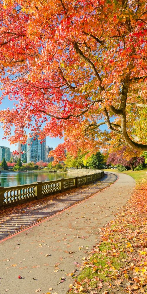 Driving in Vancouver, BC, CA