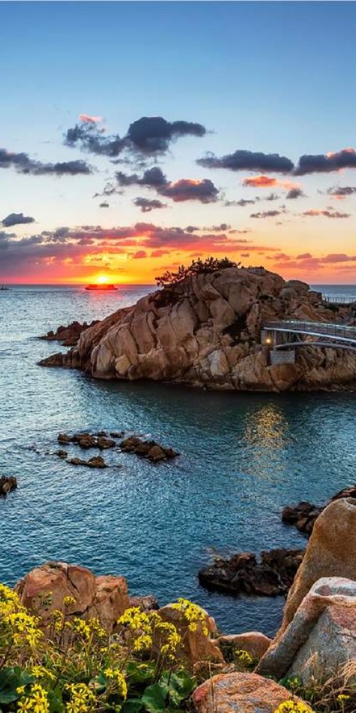 Driving rules in Ulsan