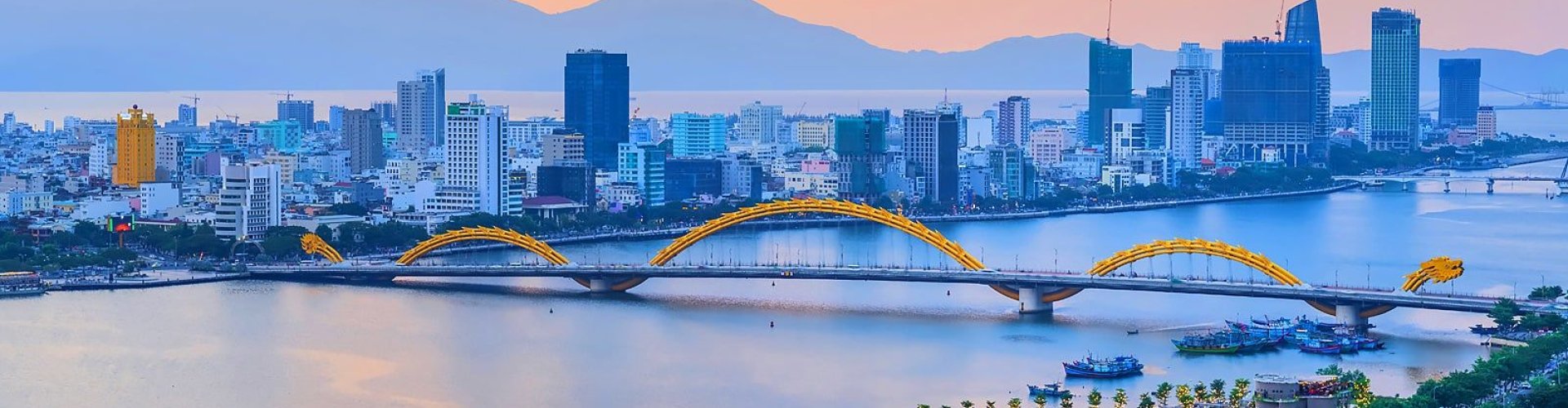 Da Nang night skyline