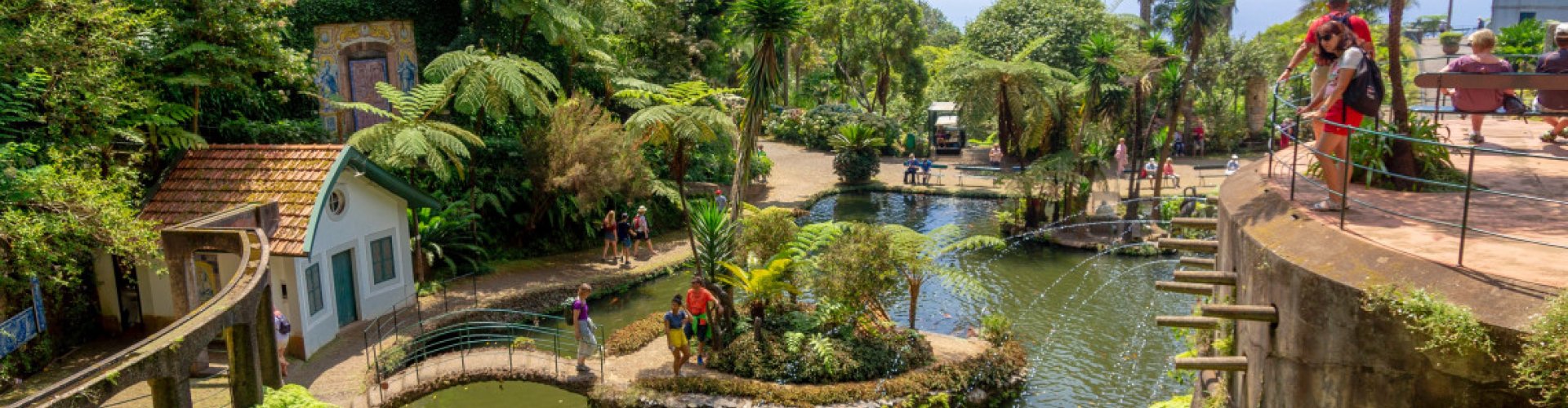 Funchal night skyline