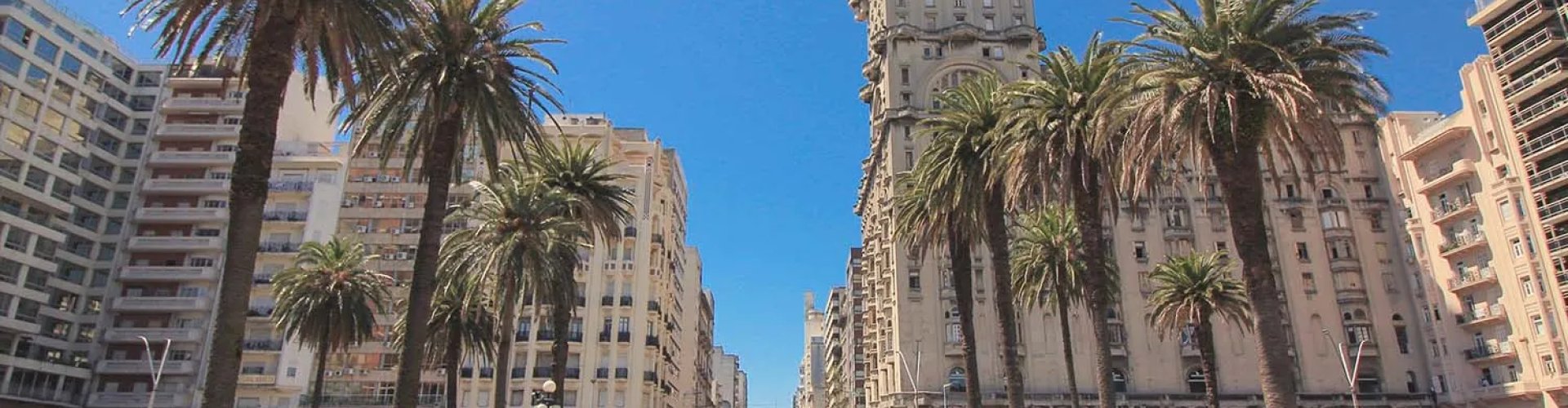 Montevideo night skyline