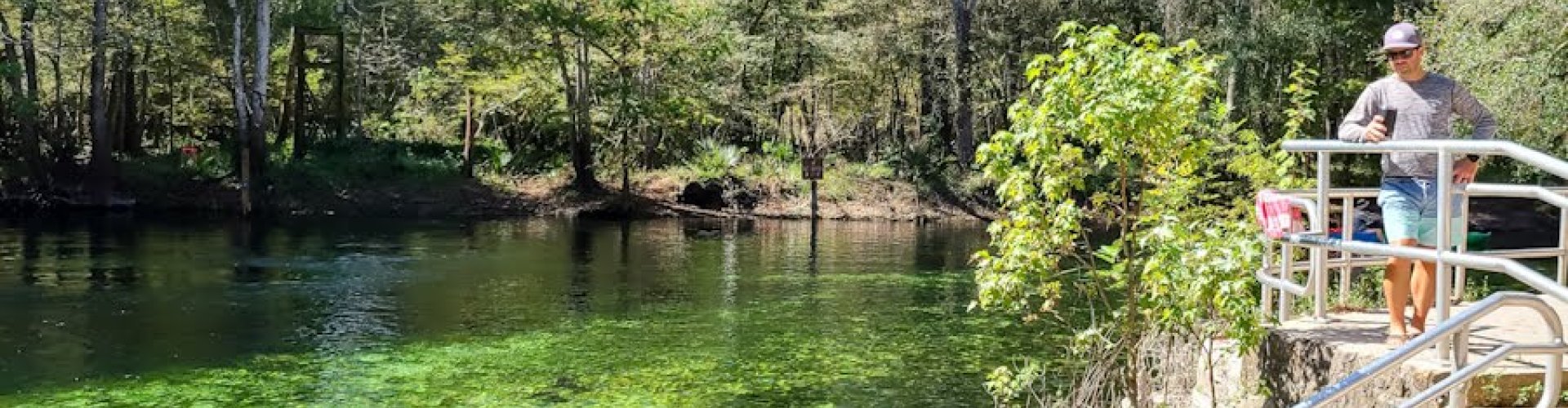 High Springs Night Skyline