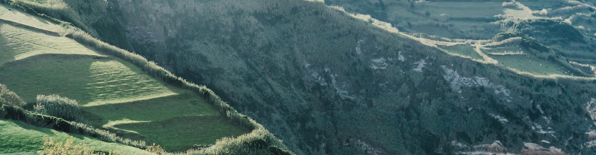 Madeirã Night Skyline