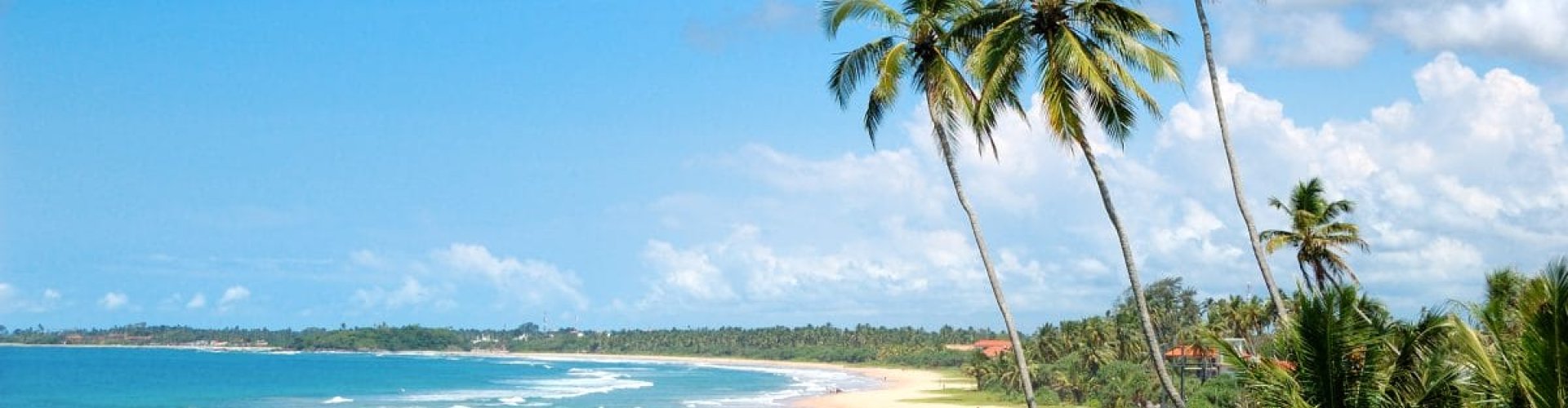 Bentota night skyline