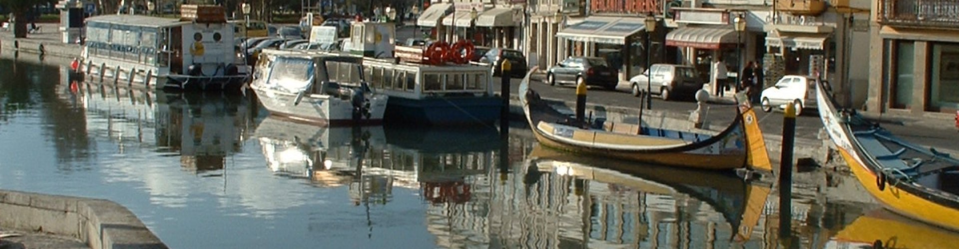 Aveiro night skyline